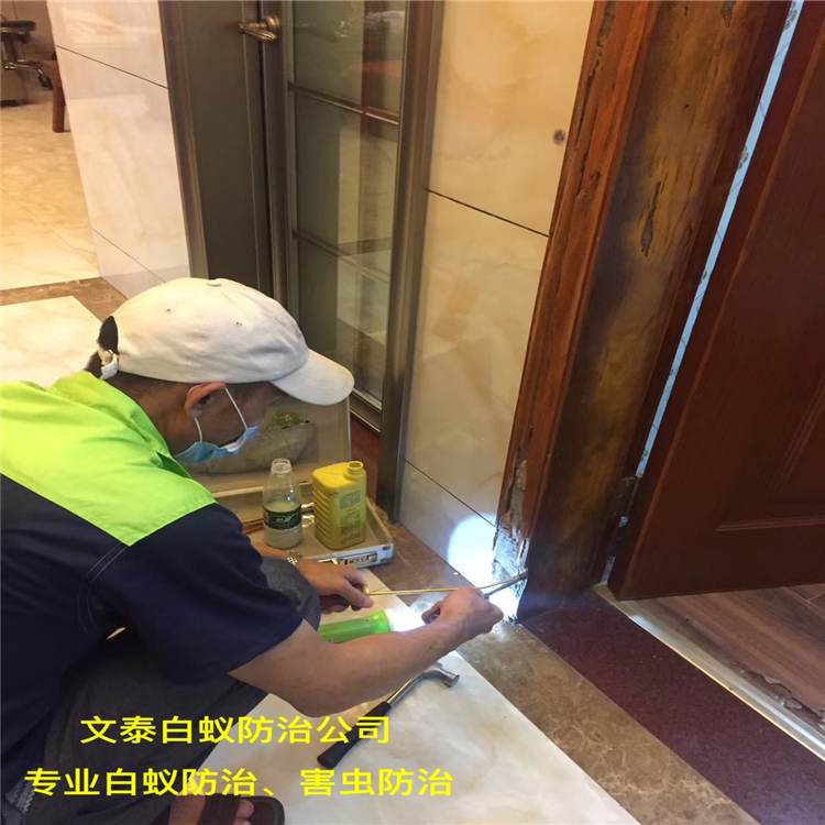 白蚁防治