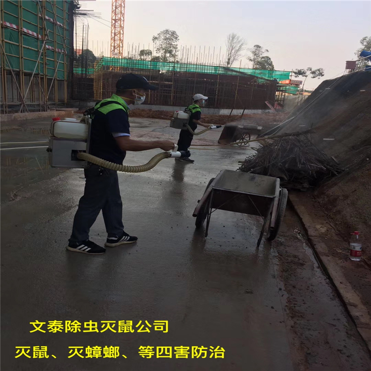 除白蚁