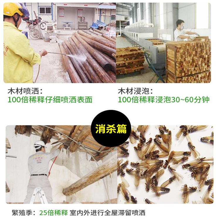 白蚁治理
