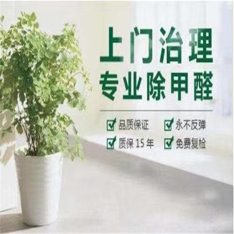 甲醛治理