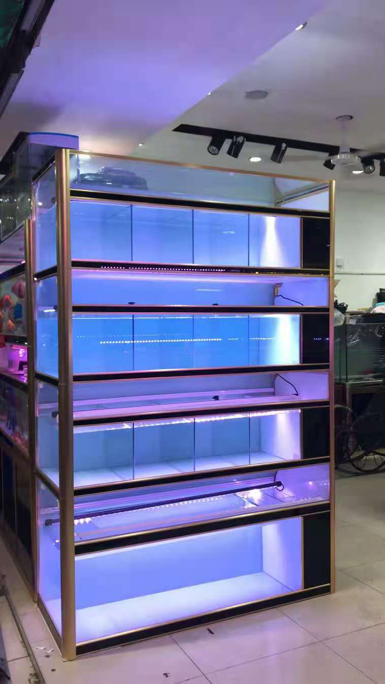 深圳海鲜池定制 中山订做酒店海鲜缸