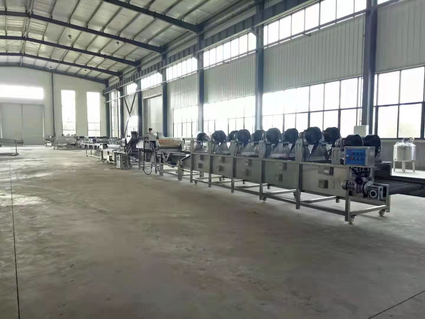 新式海带清洗机