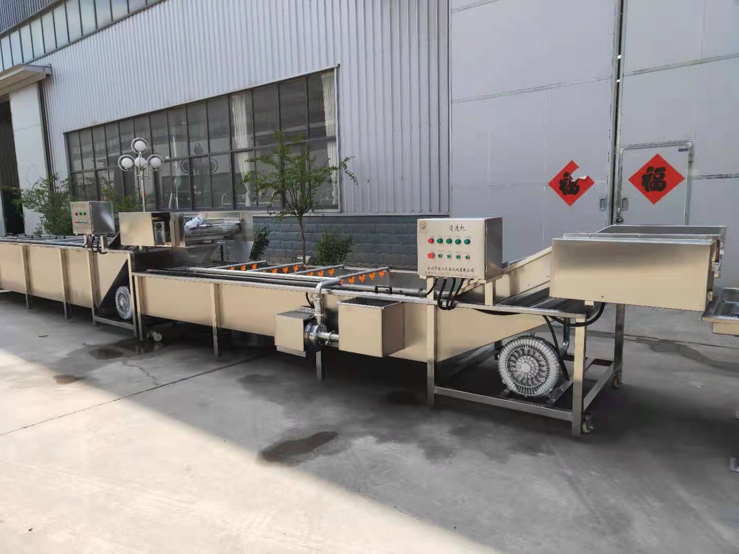 新型海带加工流水线 甘肃放心机械海带漂烫机单价