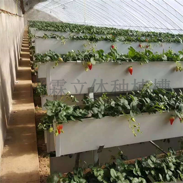草莓种植槽 厂家