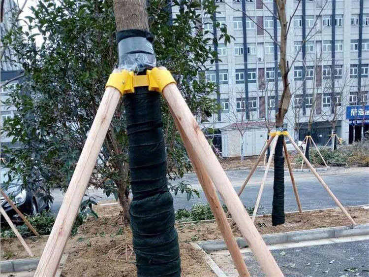 树木固定架 树的支架规格齐全