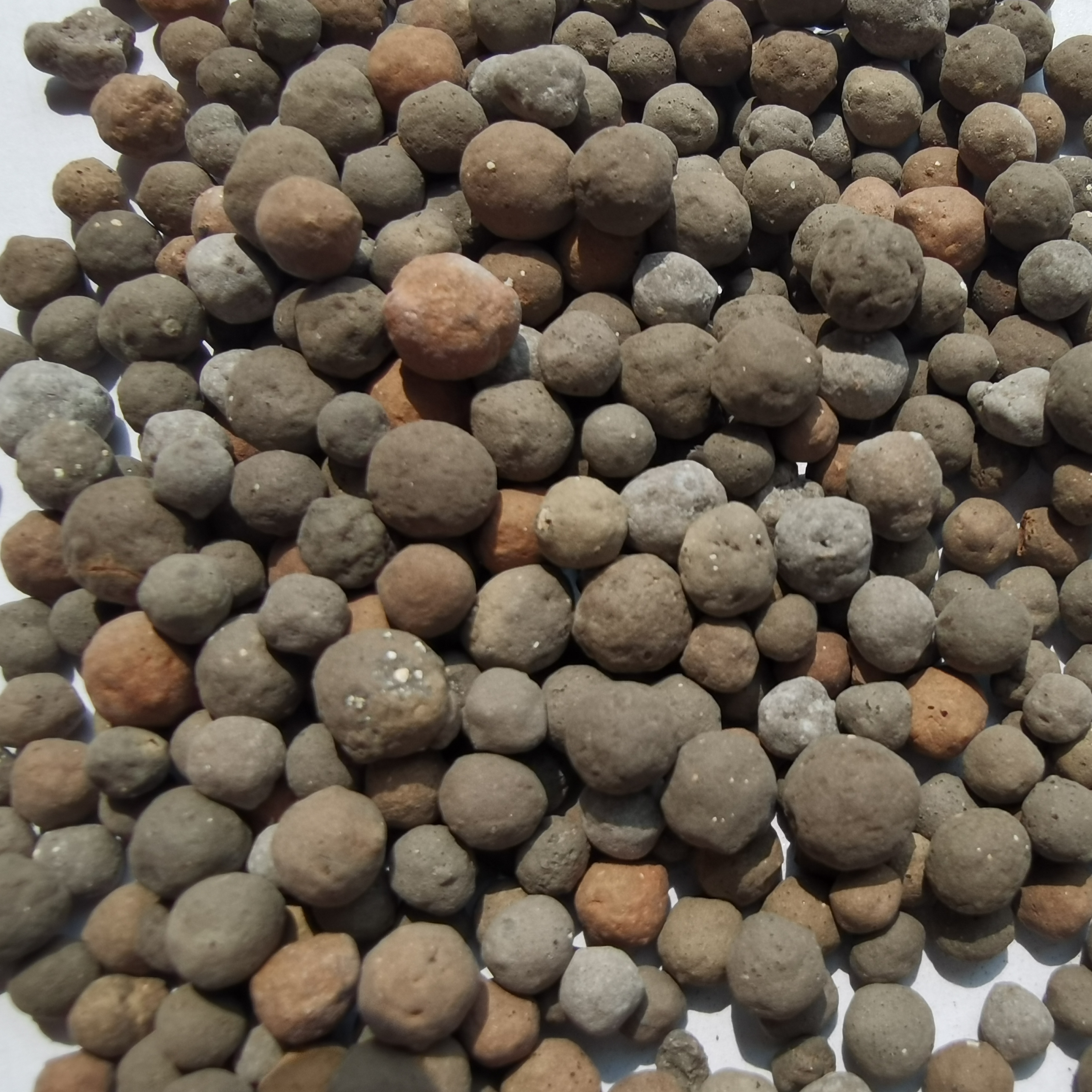 黏土陶粒 杭州湿地生物陶粒材质分类