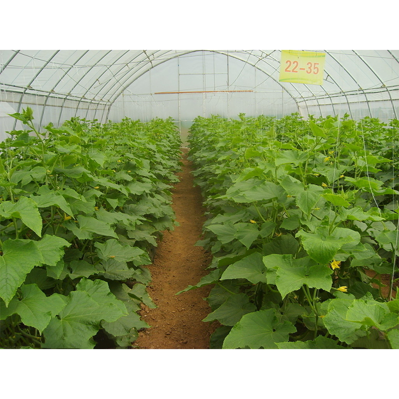 花卉温室控制系统 重庆农业大棚自动化价格