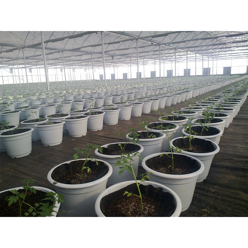 大棚蔬菜控制系统 四川农业温室智能控制系统生产厂家
