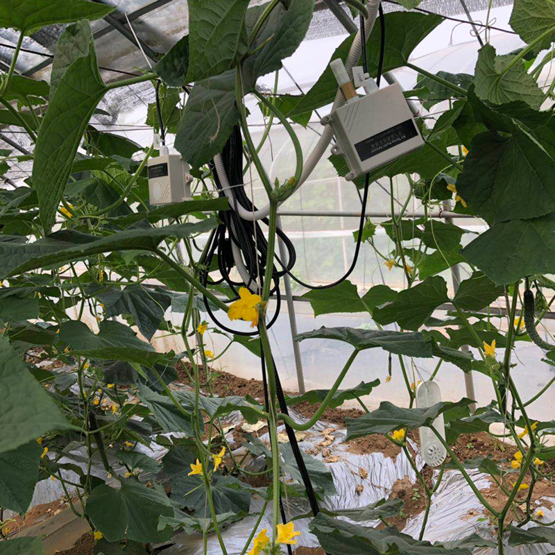 花卉温室控制系统 重庆大棚蔬菜控制系统施工