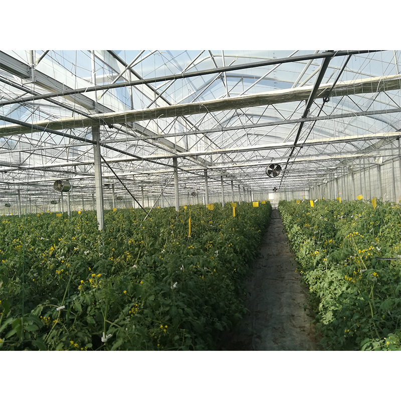 花卉温室控制系统 顺义大棚温控系统价格