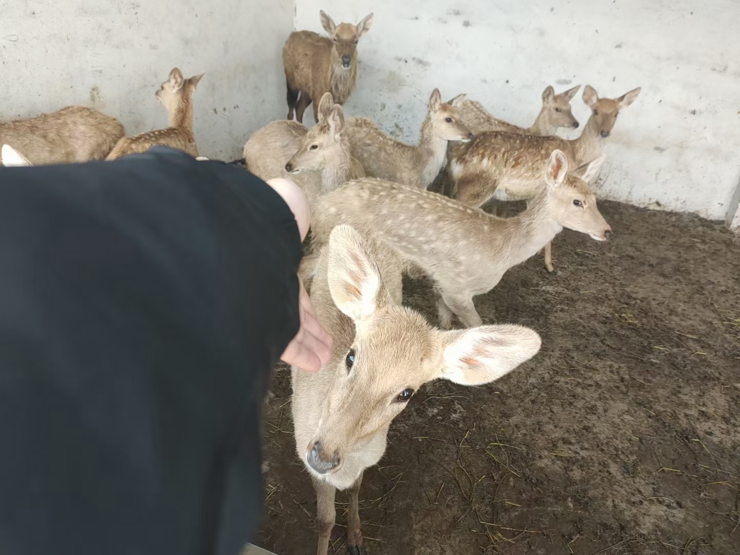 银华领先策华体会- 华体会体育官网- 华体会体育APP下载略混合