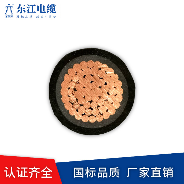 BVV25 95電線(xiàn)歡迎咨詢(xún)