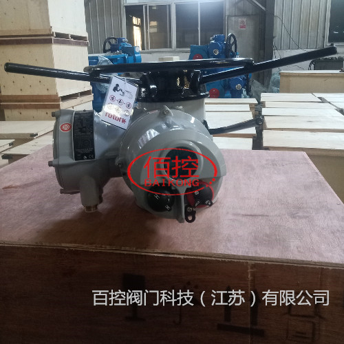 罗托克ROTORK电动头 MOD6G罗托克ROTORK加工