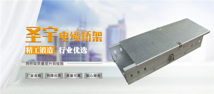 大跨距桥架 浙江圣宇防火梯式桥梁架定制