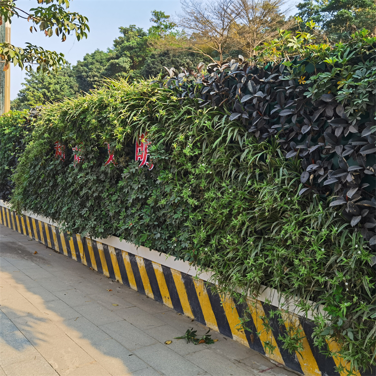 植物围蔽梅州围挡绿化