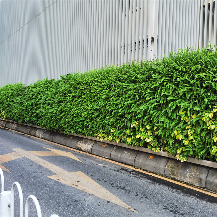 珠海植物墙围挡厂家