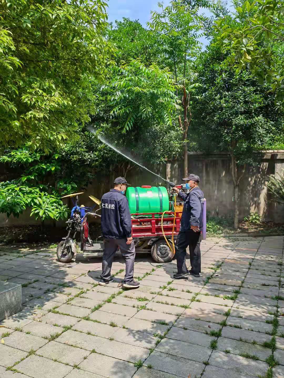 青白江景区灭鼠电话