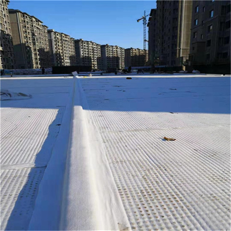 复布排水板河北屋面复合排水板厂商