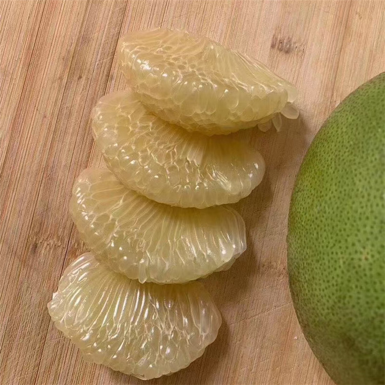 泰国考雅青柚苗泰国考雅青柚苗图片