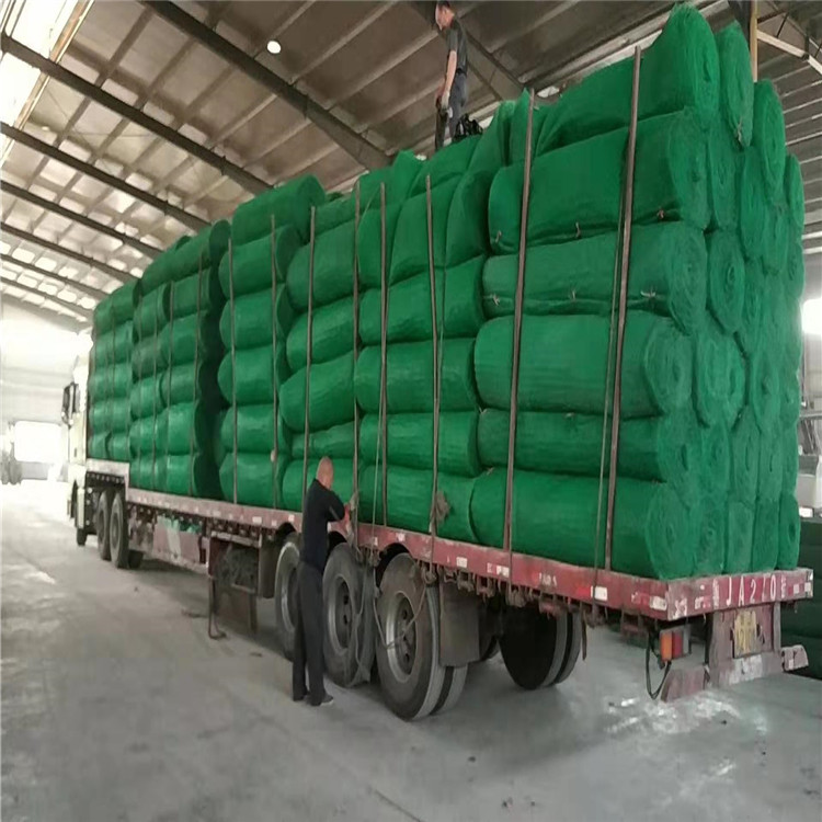三维植被网 绿化三维土工网厂家加工
