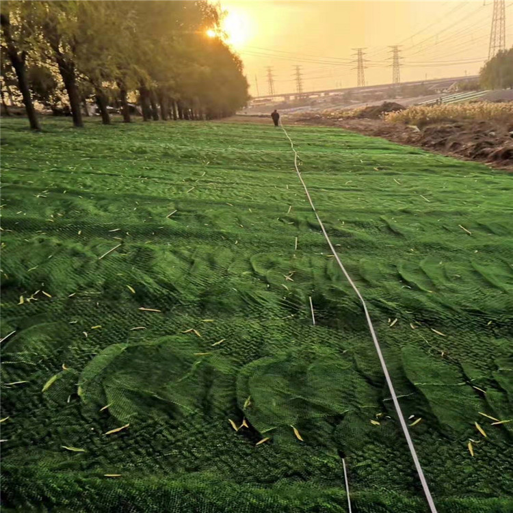 三维植被网 HDPE三维土工网厂家加工