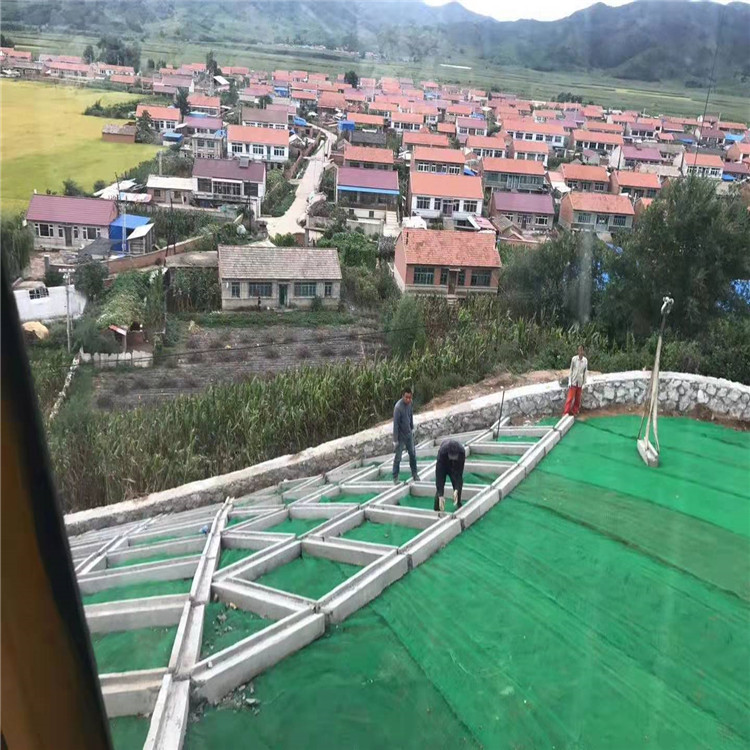 土工网 HDPE土工网厂家加工