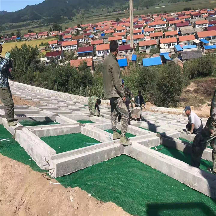 三维植被网 EM3型三维土工网厂家加工