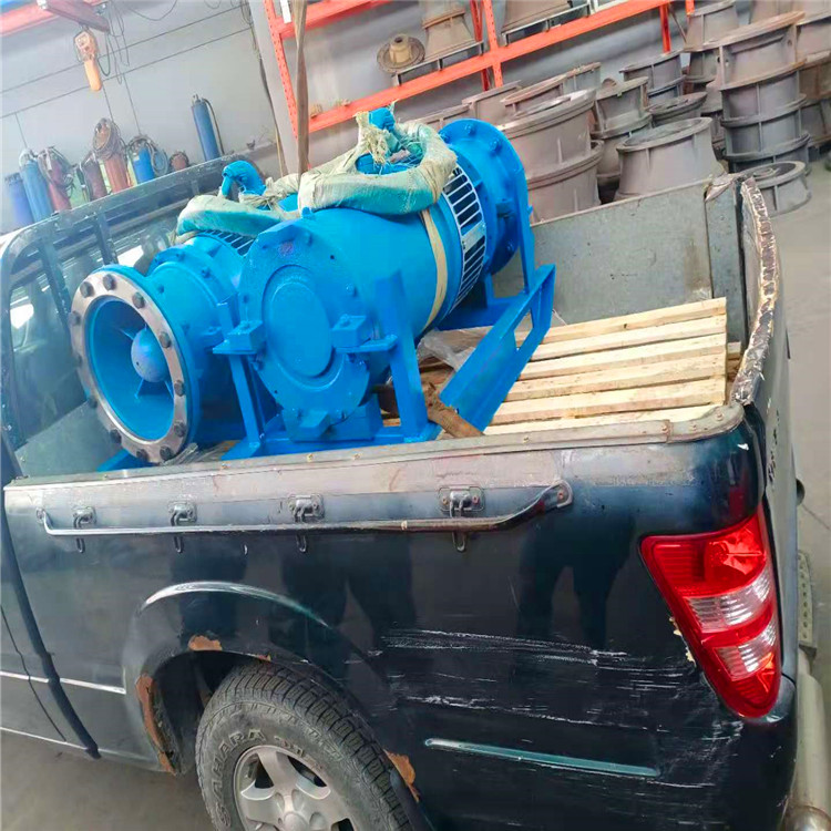 浮筒式轴流泵 天津应急排水下吸式轴流泵定制直供