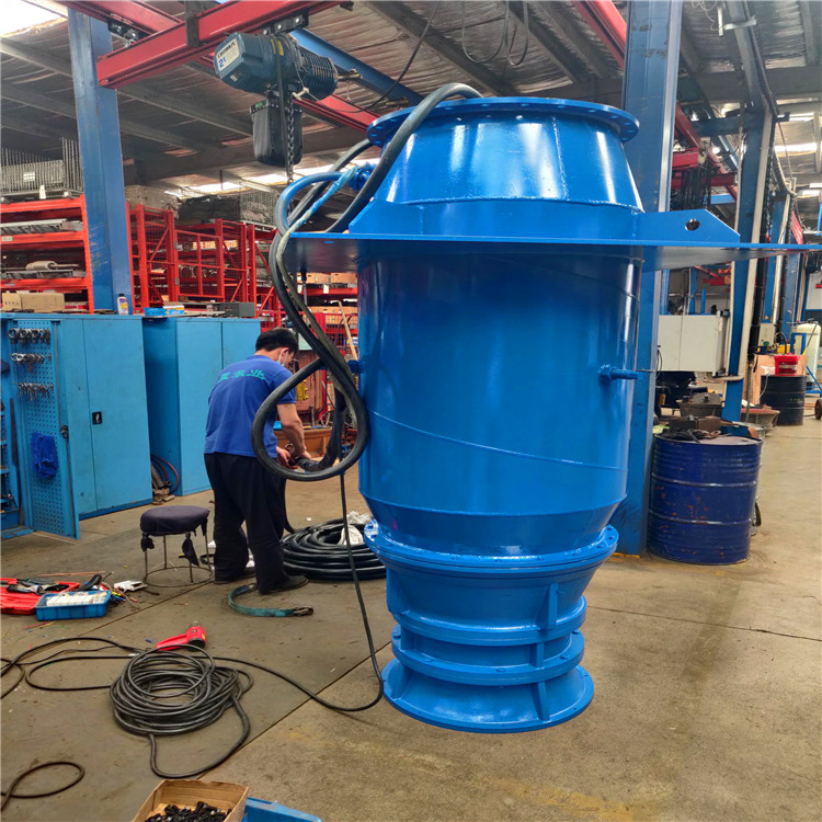 浮筒式轴流泵 天津防汛浮筒式轴流泵水利调水