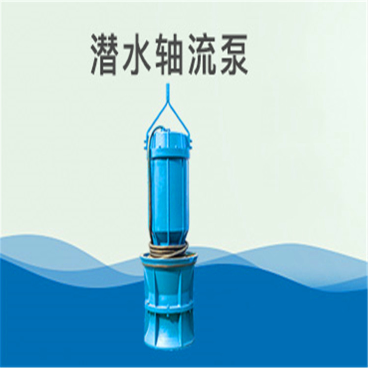 QZB轴流泵 天津抗洪排涝浮筒式轴流泵出厂价格