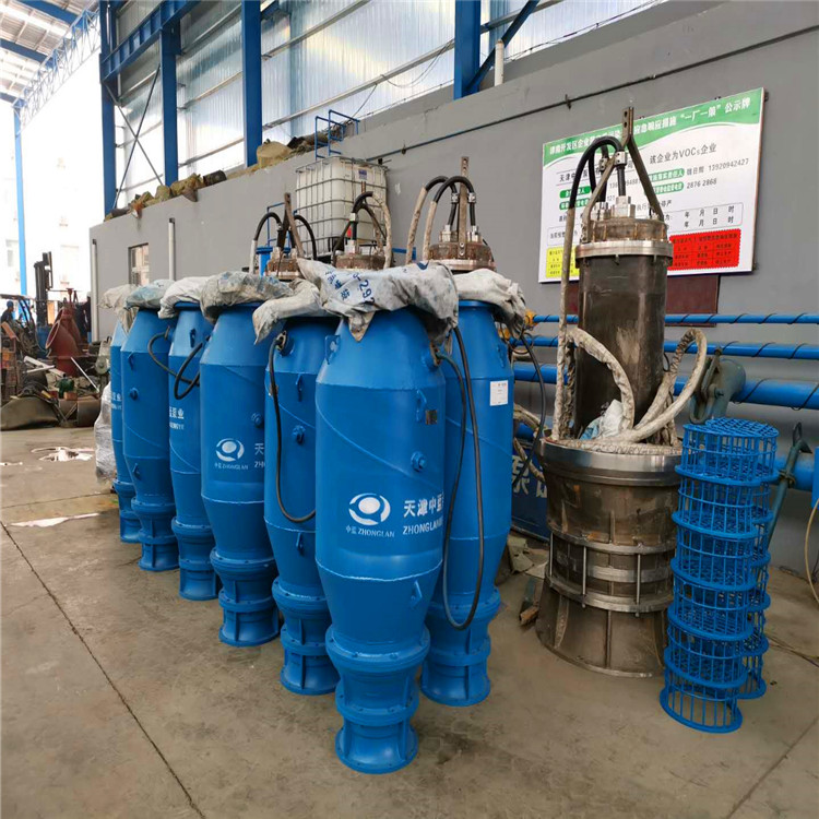 浮筒式混流泵 天津大功率雪橇式混流泵出厂价格