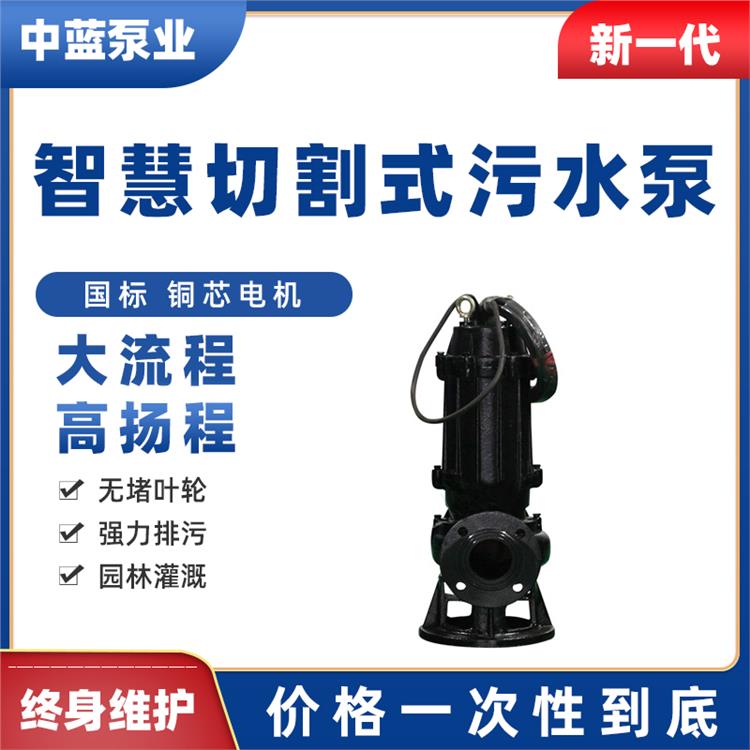 带铰刀污水泵 天津抗洪排涝排污泵出厂价格