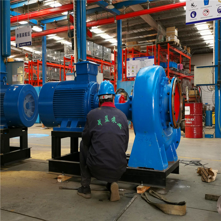 农用泵 天津抗洪排涝HW混流泵出厂价格