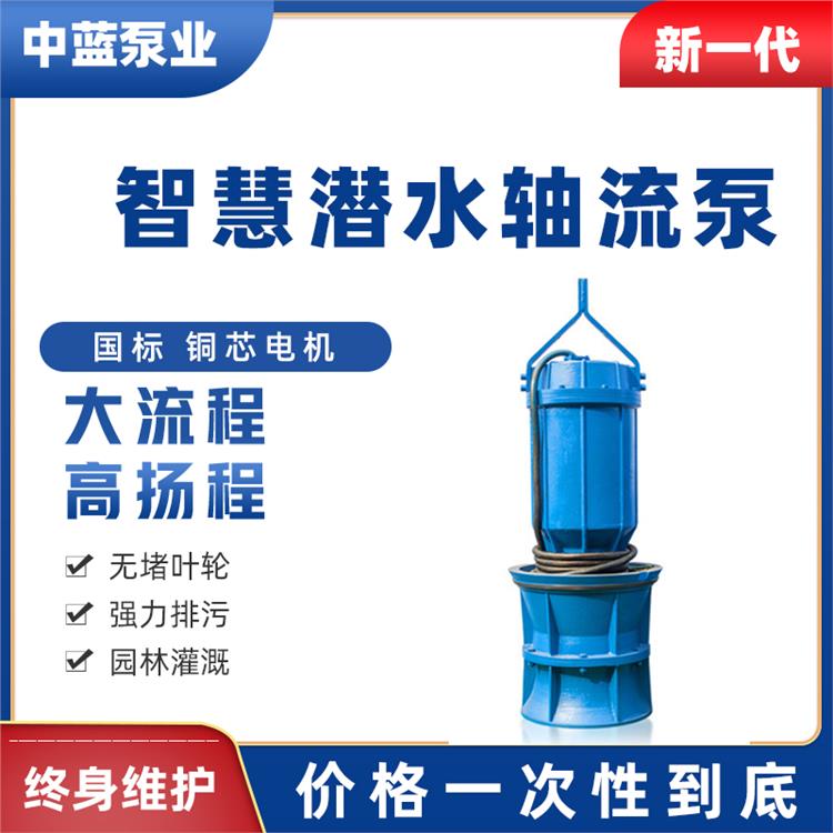 浮筒式轴流泵 天津防汛浮筒式轴流泵生产厂家