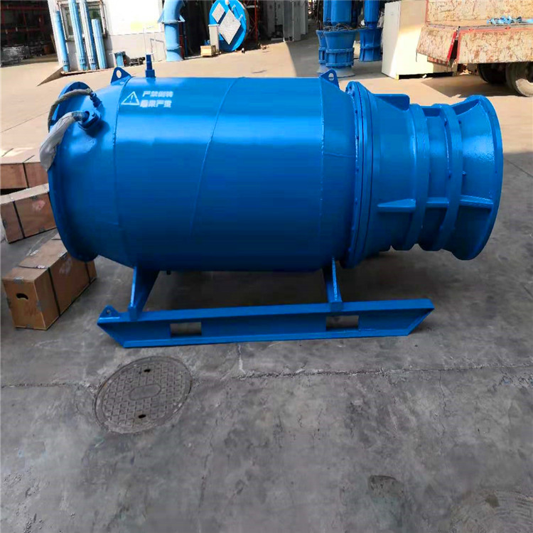 下吸式轴流泵 天津低扬程浮筒式轴流泵出厂价格