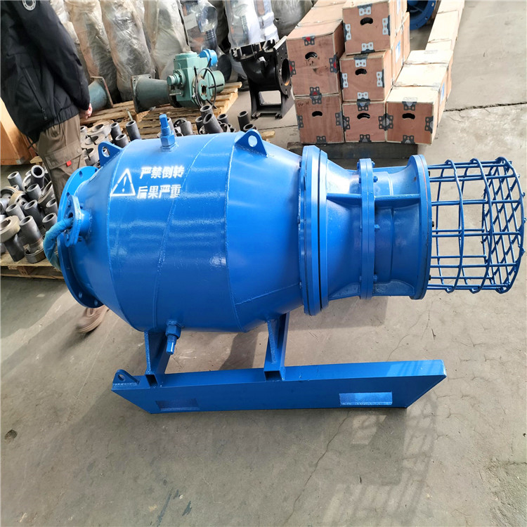 浮筒式轴流泵 天津大功率雪橇式轴流泵出厂价格