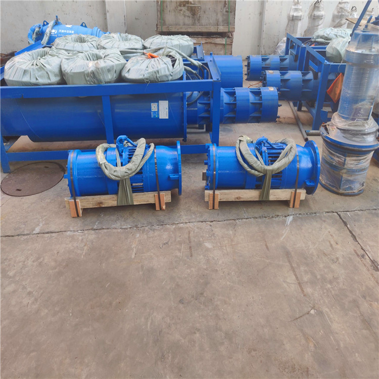 浮筒式轴流泵 天津大功率QZB轴流泵定制直供