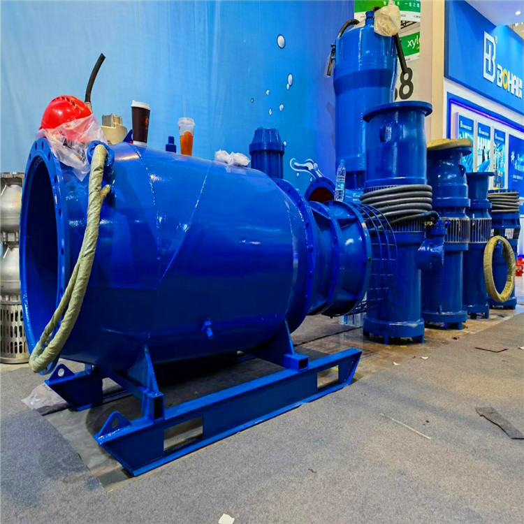 下吸式轴流泵 天津大功率雪橇式轴流泵生产厂家