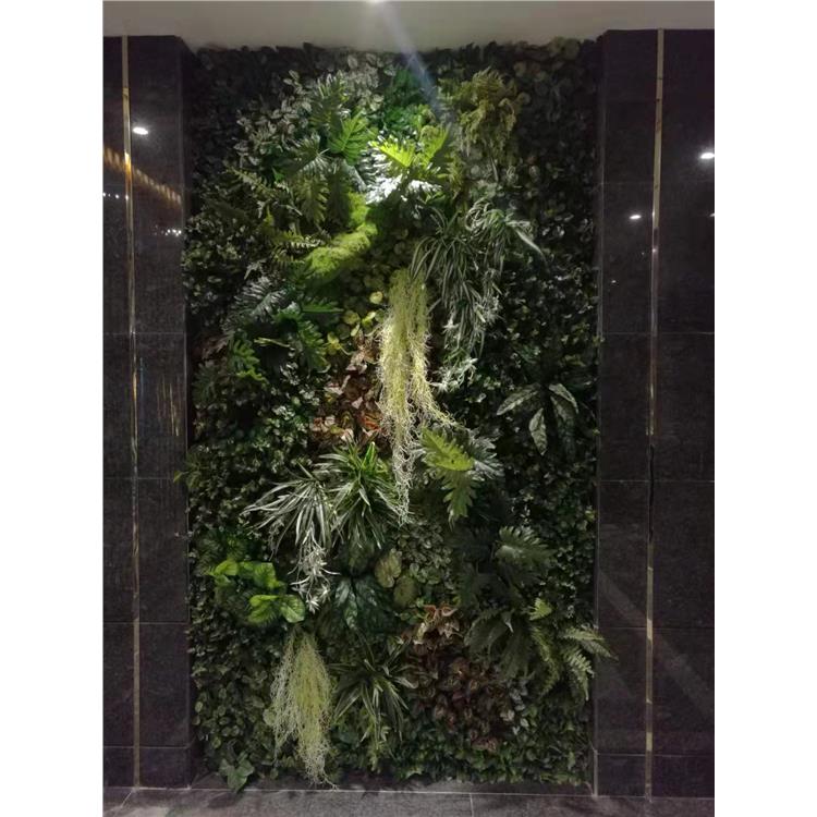 室内生态植物墙 浙江新品仿真植物墙报价