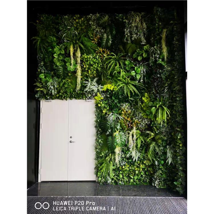 植物绿墙 徐州家居植物背景墙价格