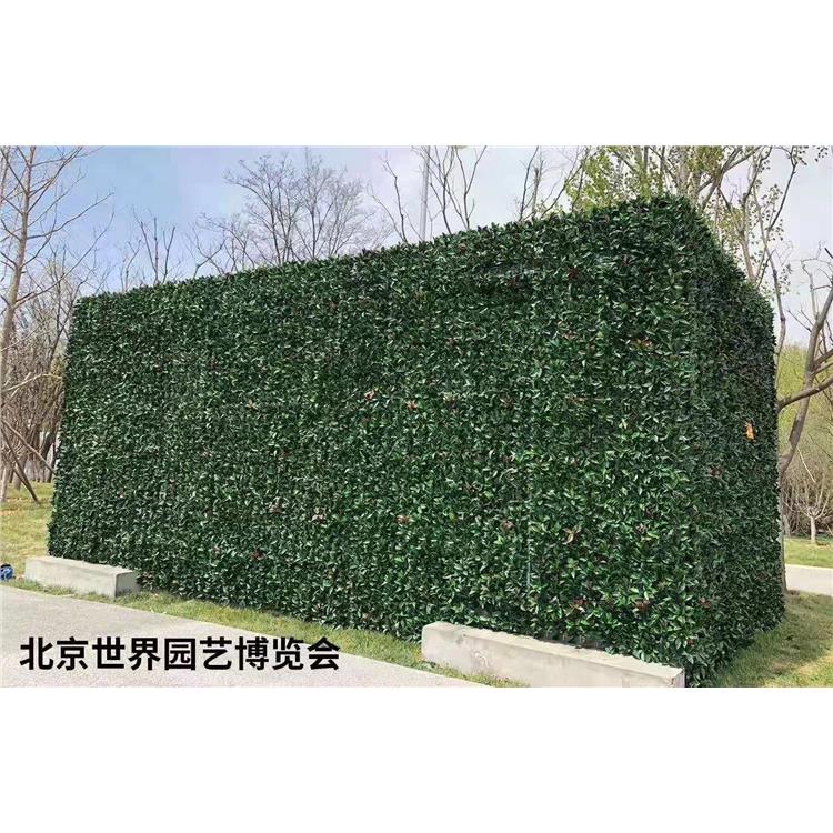 垂直绿化植物墙 南京新品生态墙植物施工