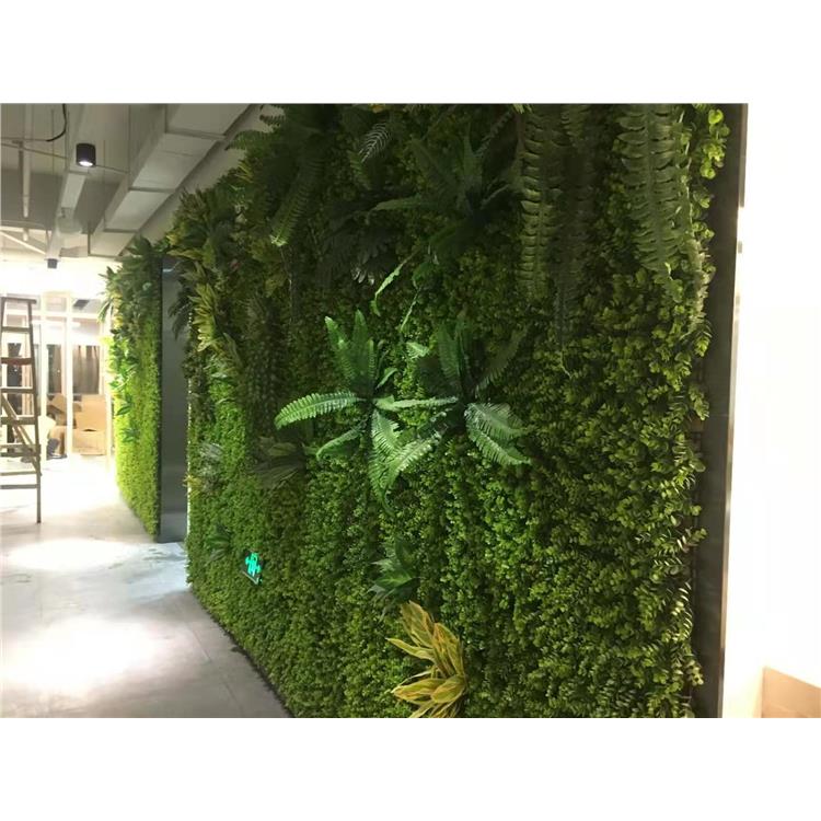 垂直绿化植物墙 安徽新品生态植物墙制作