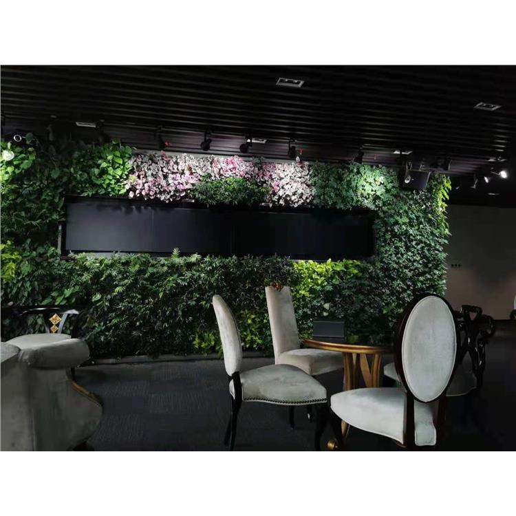 生态墙植物 安徽环保植物背景墙施工