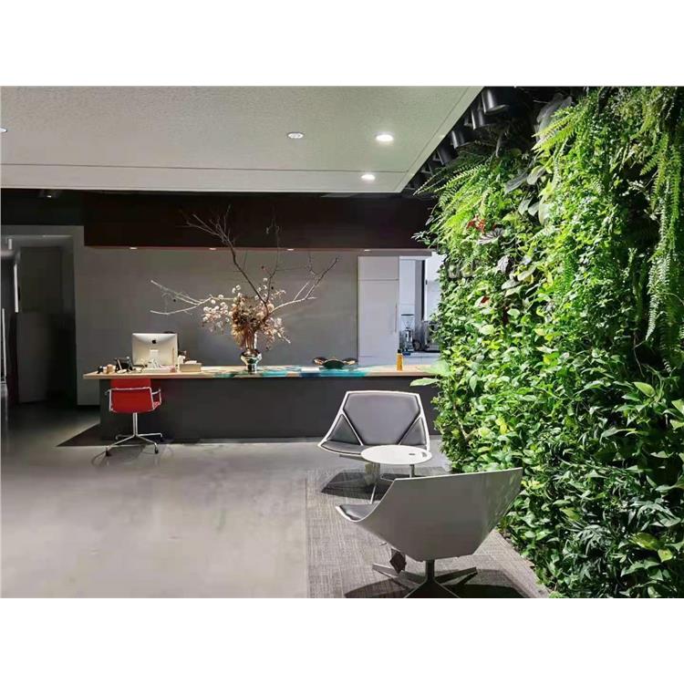 绿化墙植物墙 苏州新品阳台植物墙工程