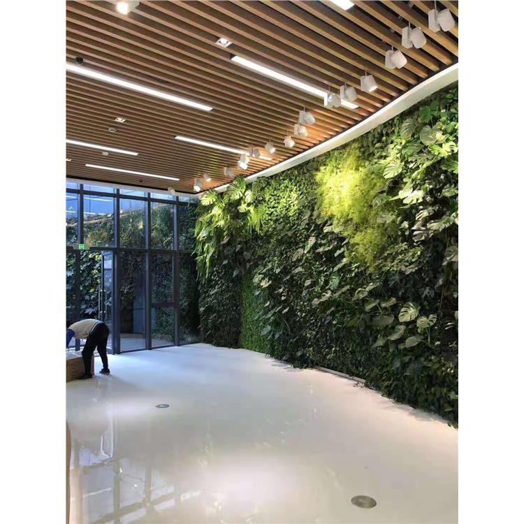 植物墙 南京垂直垂直植物墙出售