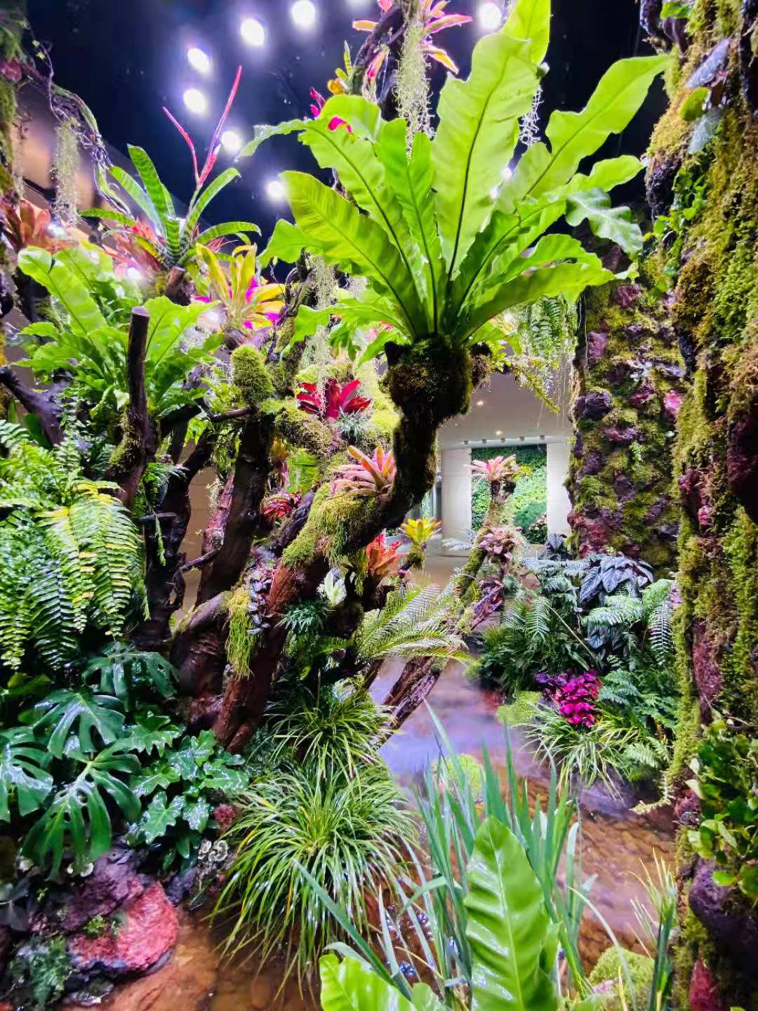 室内热带雨林 苏州阳台雨林生态景观出售