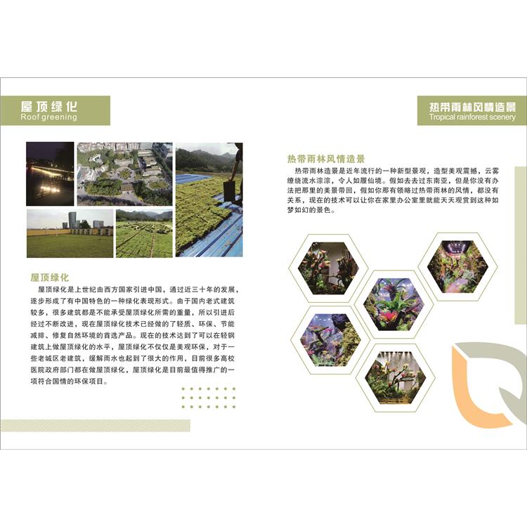 植物绿雕 浙江户外动物绿雕厂家