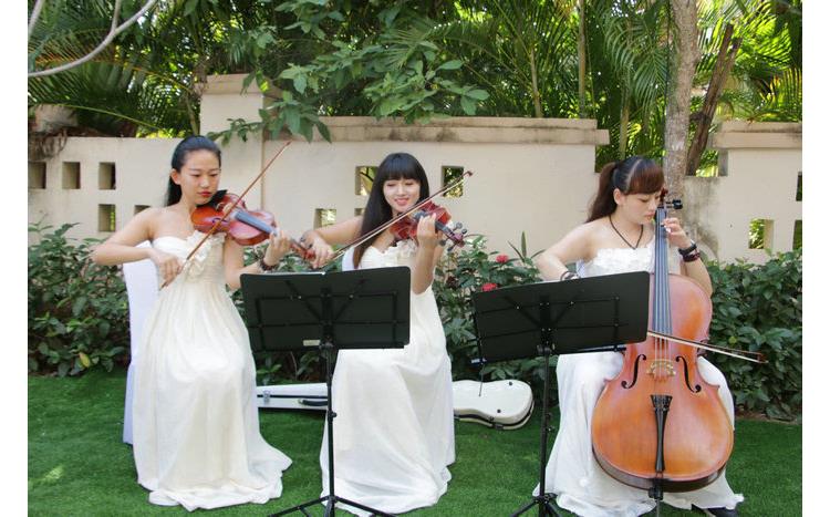小提琴演出团队北京小提琴演奏