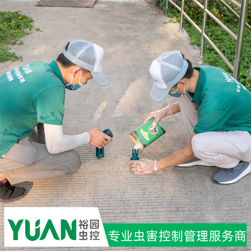 除四害西区灭鼠公司
