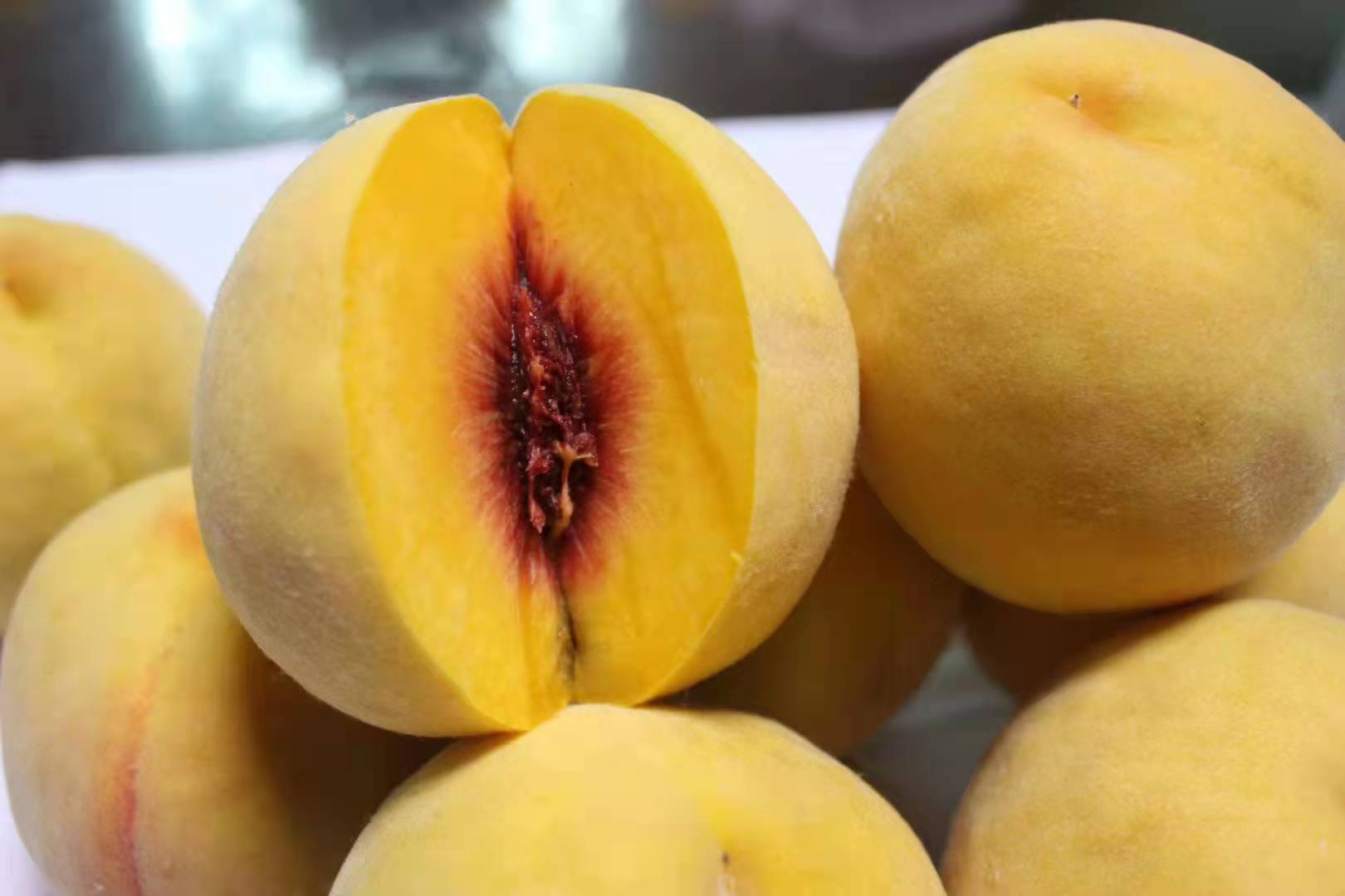 安徽黄金蜜2号树苗皮薄肉嫩金皇后黄桃树苗市场批发价格